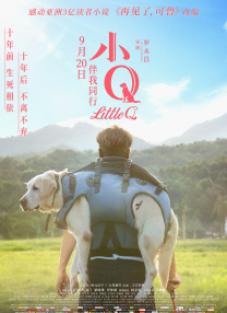 99视频九九精品视频在线观看